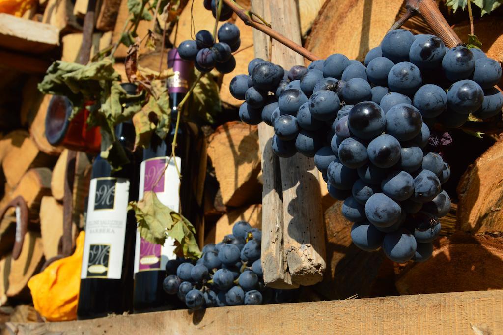 Agriturismo Il Nido Di Bacco Villa Saluzzo Bagian luar foto